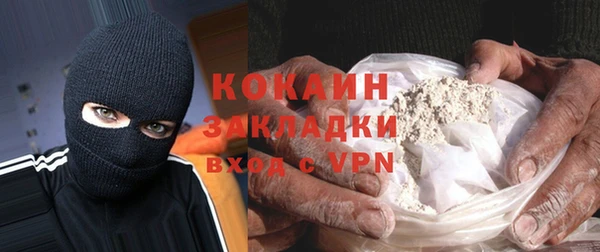 индика Ступино