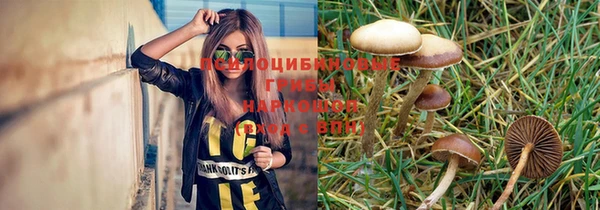 спайс Струнино