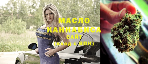 индика Ступино