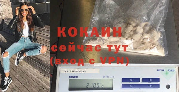 индика Ступино