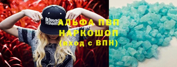 индика Ступино