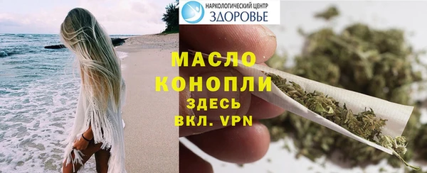 индика Ступино